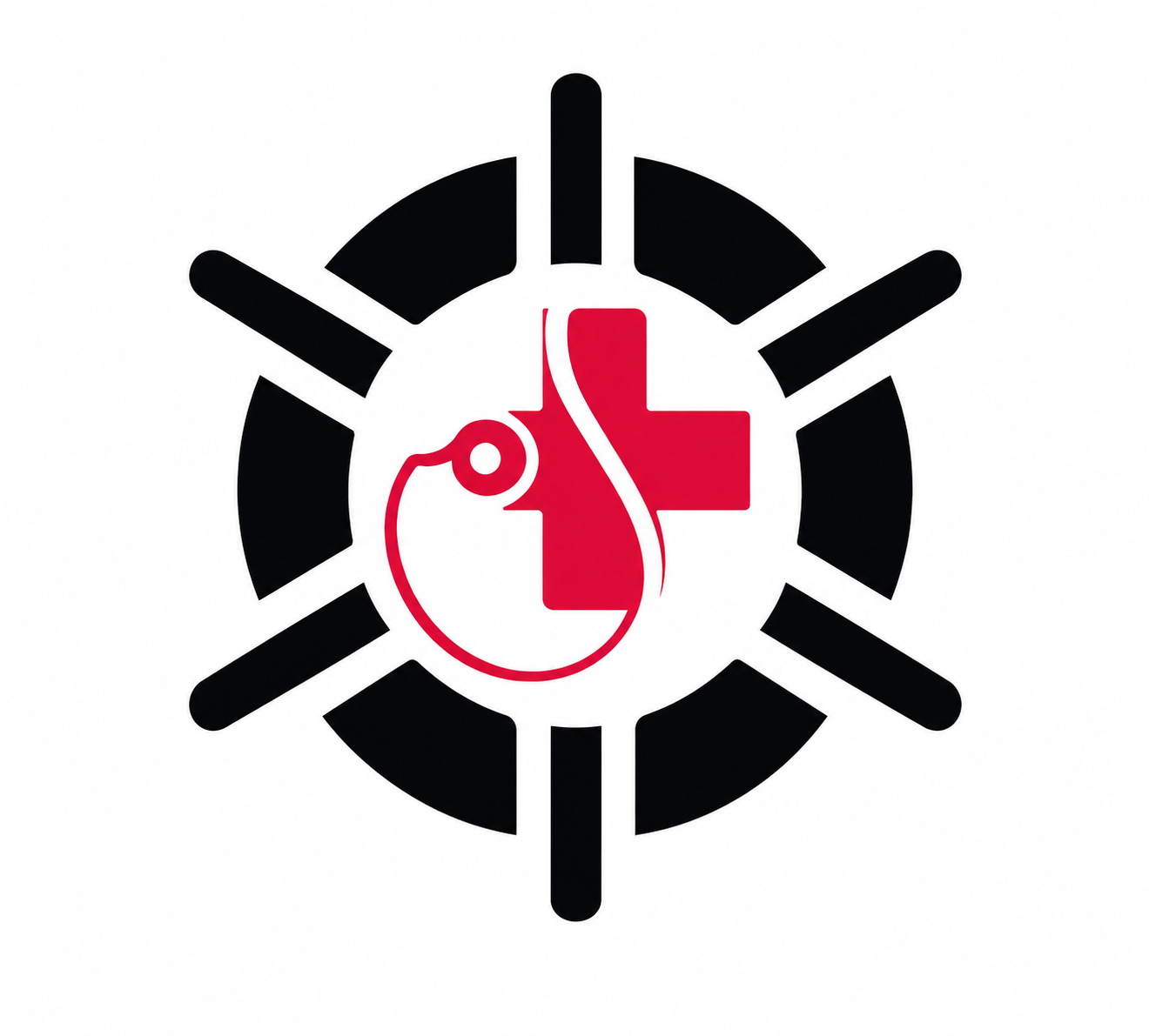 MedVault Ltd.